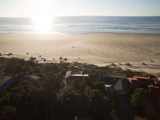 Gene's Coastal Escape - Plaj