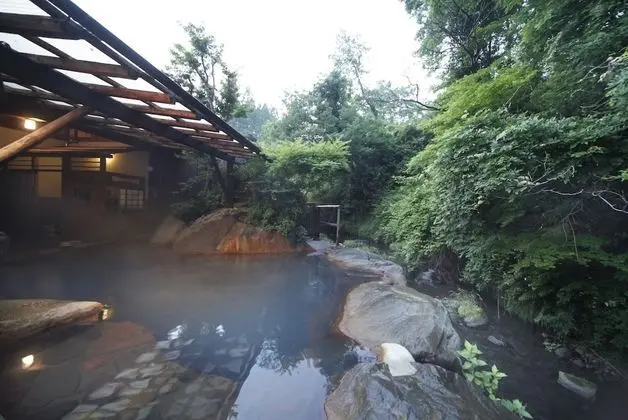 Genryu no Yado Hozantei - Spa