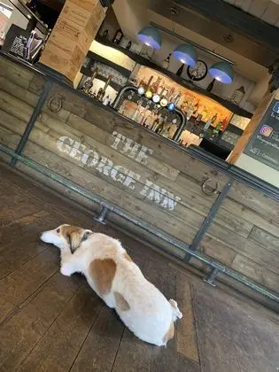 The George Inn Middle Wallop - Bar