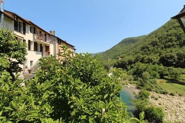 Geraneo Among Vineyard