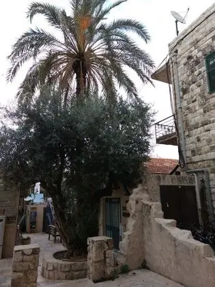 German Colony Guest House