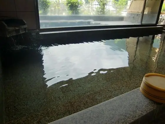 Gero Onsen Kissenkan Chikusuitei - Spa