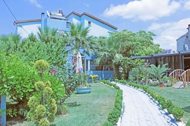 Geyikli Gelincik