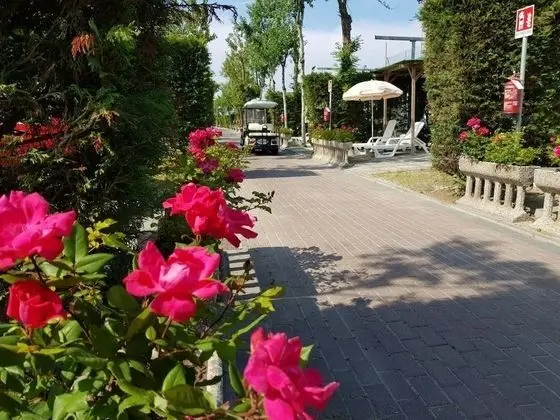 Villaggio Camping Europa - Dış Mekan