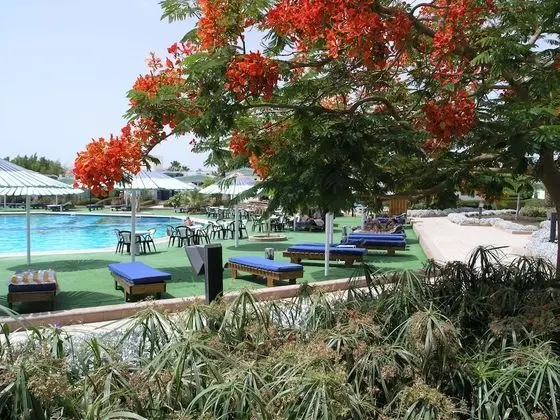 Ghazala Beach Hotel - Dış Mekan