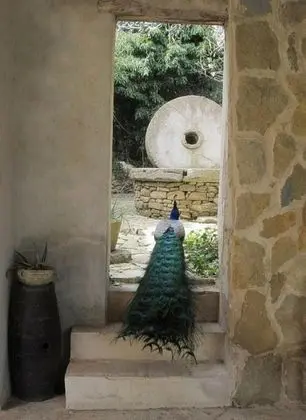 Villa Giardinata - Dış Mekan