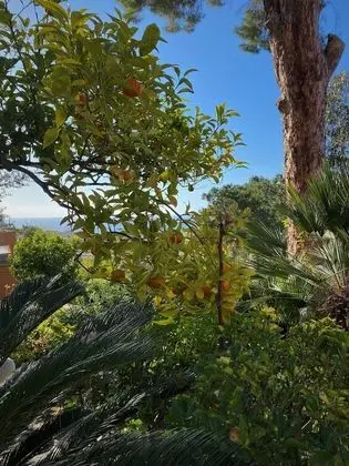 Hotel - Giardino Marchese d'Altavilla - Dış Mekan