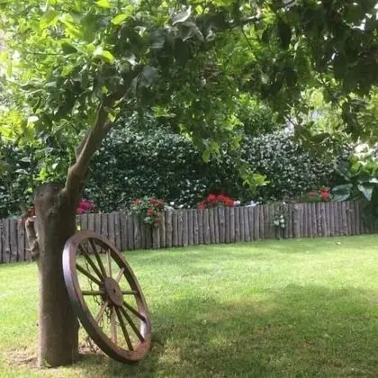 Giardino Sorrentino - Dış Mekan