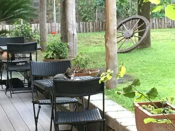 Giardino Sorrentino - Yerinde Yemek