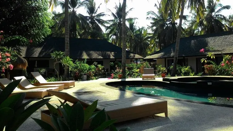 Gili Trawangan Oasis - Havuz