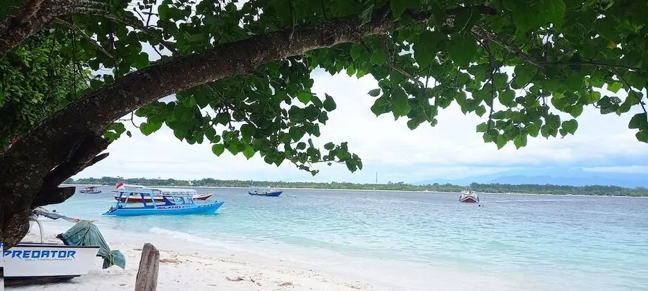 Gili Welldone Guesthouse