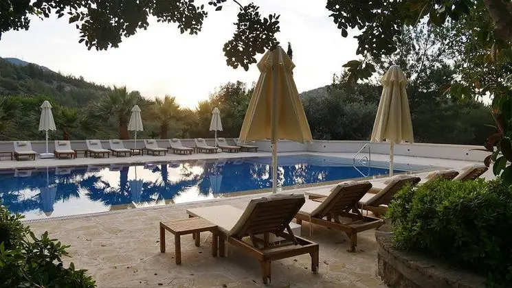 Gillham Vineyard Hotel - Havuz