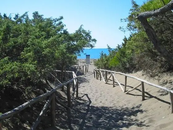 Gineprino Marina di Bibbona - Oda