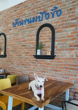Ginger Bread House - Pet Lover Resort - Evcil Hayvanlar