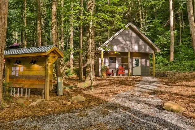 Gingershack Farms - Oda Düzeni