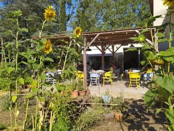 Ginkgo - Dış Mekan