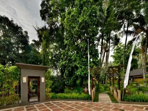 Gino Feruci Villa Ubud - Genel