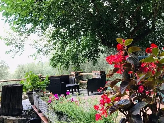 Gioi Villa Rizzo Lovely Rooms