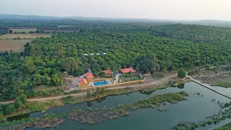 GIR LION SAFARI CAMP