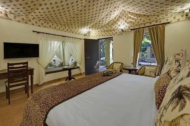 GIR LION SAFARI CAMP - Öne Çıkan Resim