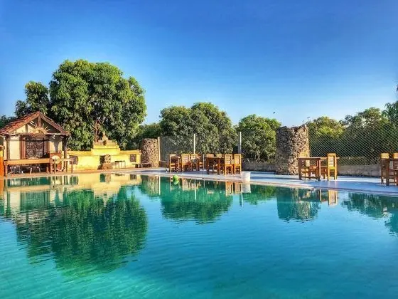 Gir Lions Paw Resort With Swimming Pool - Havuz