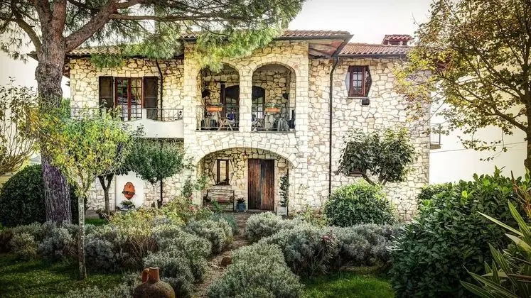 Girasole-rolling Hills, Sunflowersfamily Friendly