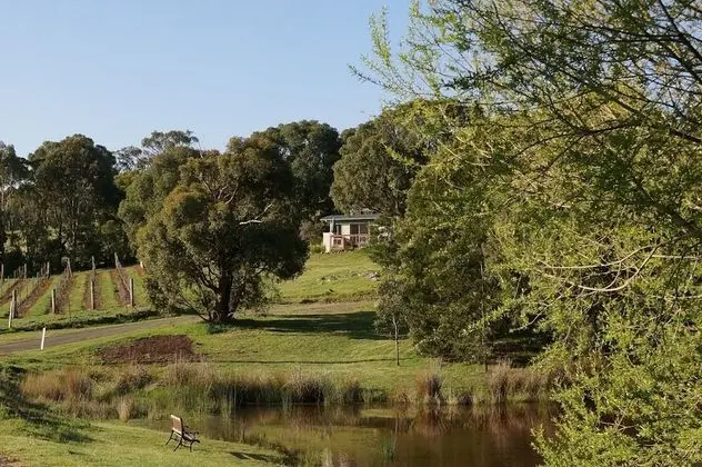 Gisborne Peak Winery Cottages - Dış Mekan