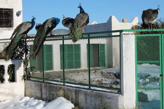 Gite Dayet Aoua - Dış Mekan