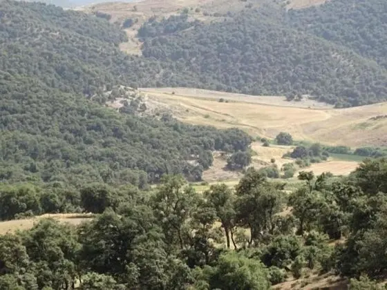 Gite du Barrage - Dış Mekan