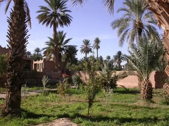 Gite Elkhorbat