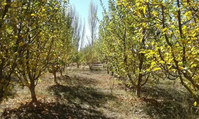Gîte Ferme Dar Raho - Dış Mekan
