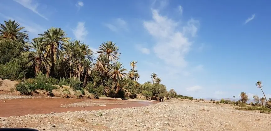 Gîte Kasbah La palmeraie - Dış Mekan