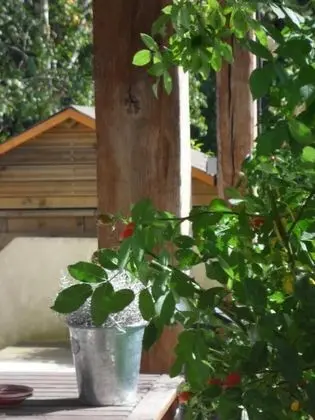 Gite Maison Prairie Bonheur Near Paris - Dış Mekan
