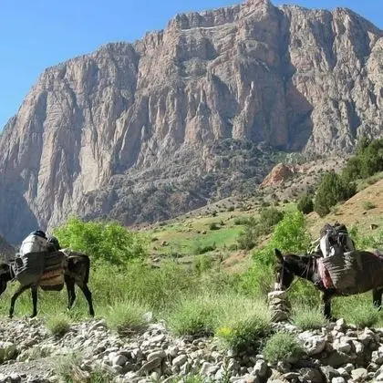 Gîte Taghia Climbing - Hostel
