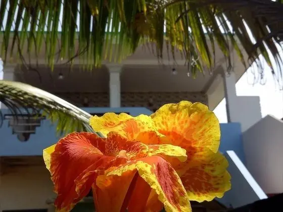 Githmini Beach Guest House & Toures - Dış Mekan