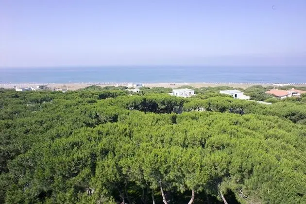 Giulivo C1