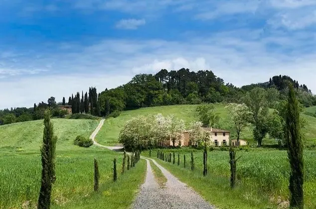 Villa Giunone With Pool Close to Volterra - Oda