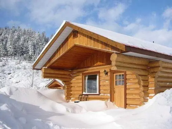 Glacier House Resort - Genel