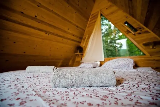 Glamping FOREST EDGE - Oda