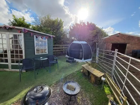 Glamping With Llamas - Dış Mekan