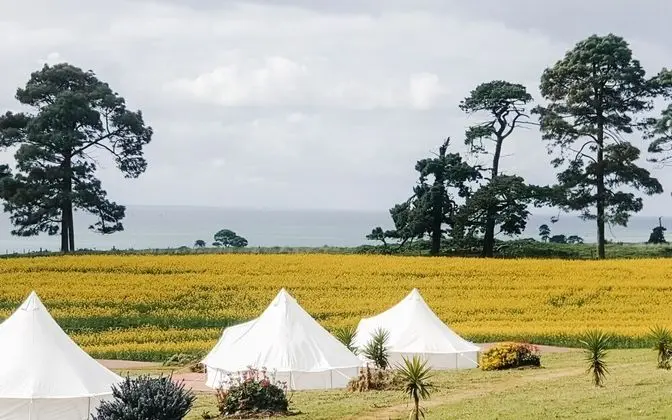 Glamping At Terindah - 1