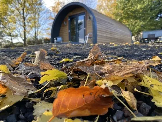 Glampods - 5 Berth Glamping Pod Elgin