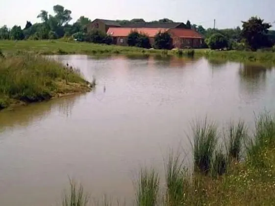 Glebe Farm Apartments - Dış Mekan