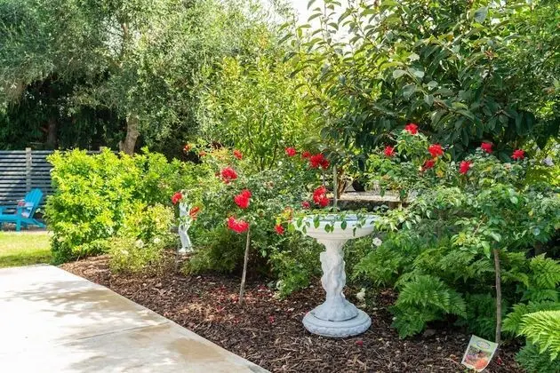Glenbervie Cottages and Bed & Breakfast - Dış Mekan