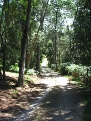 Glenbrook House and Cottage - Dış Mekan