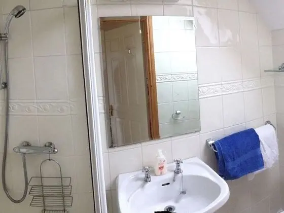 Glencarrig Farmhouse B&B - Banyo Tipleri