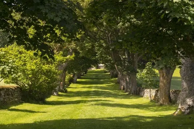Glenmorangie House Hotel - Dış Mekan