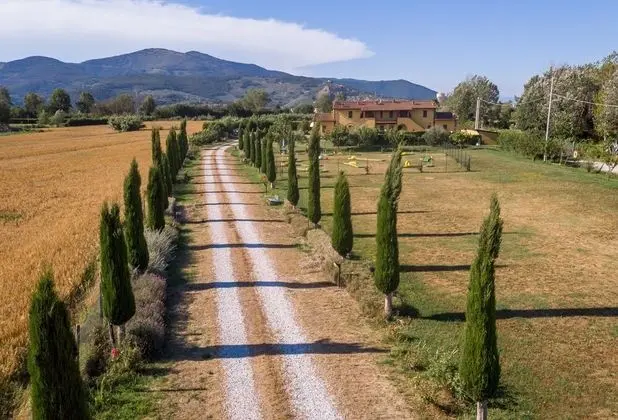 Glicine Apartment, No Kids Farmhouse up to 5 Adults