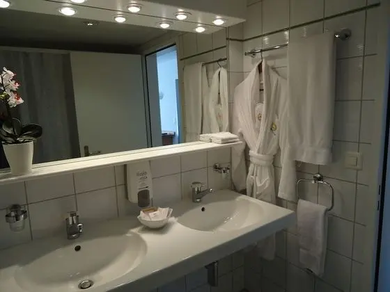 Hotel Globales Conti - Banyo Tipleri