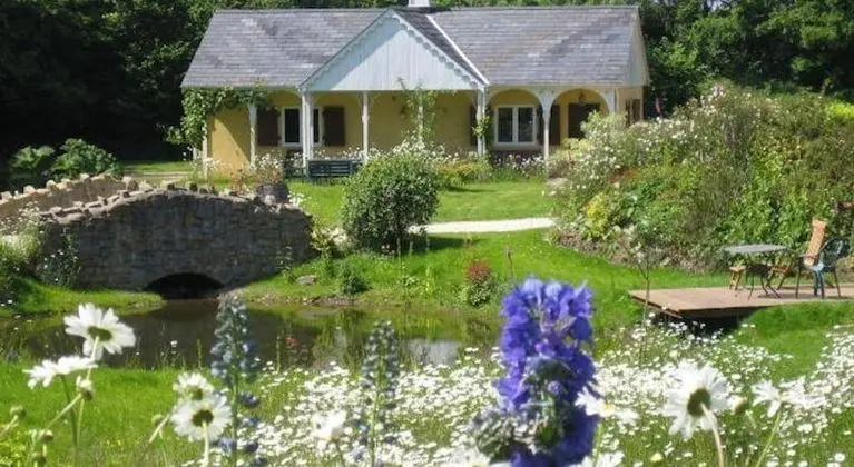 Glyndwr Vineyard
